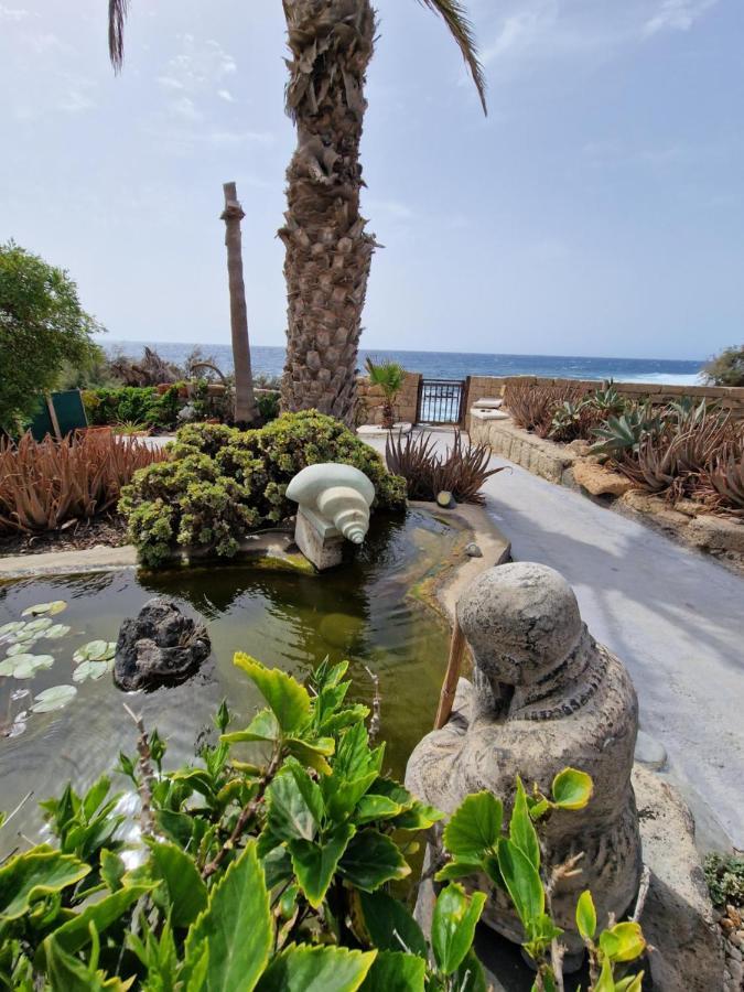 Little Paradise In El Medano Granadilla De Abona Zewnętrze zdjęcie