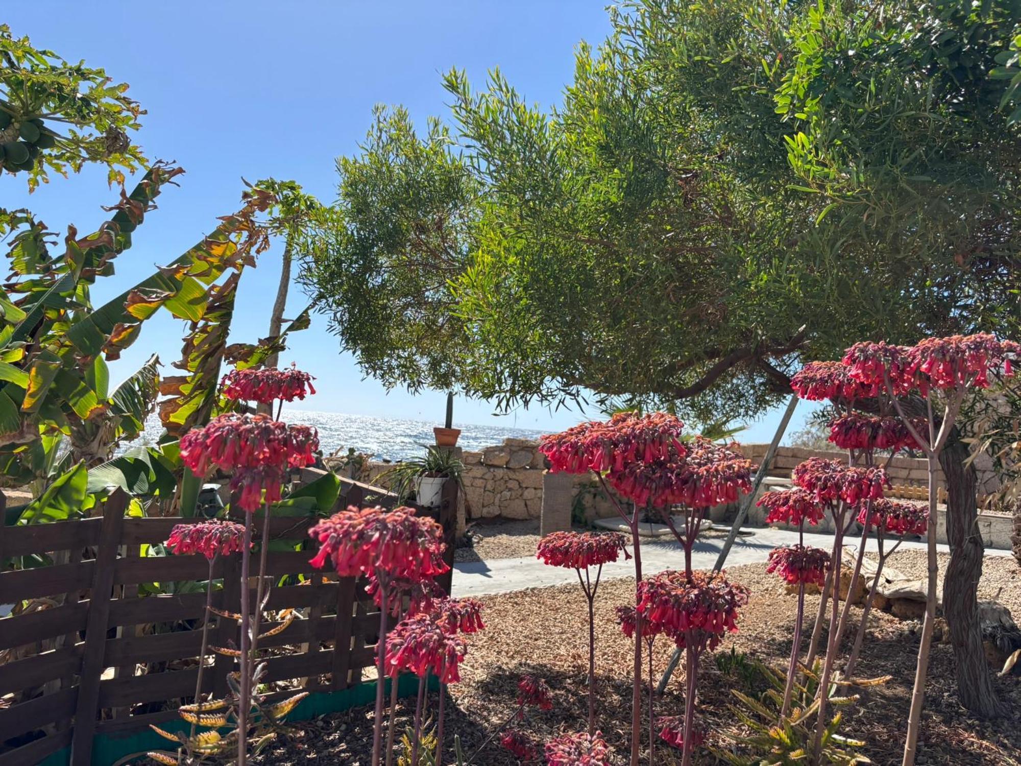 Little Paradise In El Medano Granadilla De Abona Zewnętrze zdjęcie